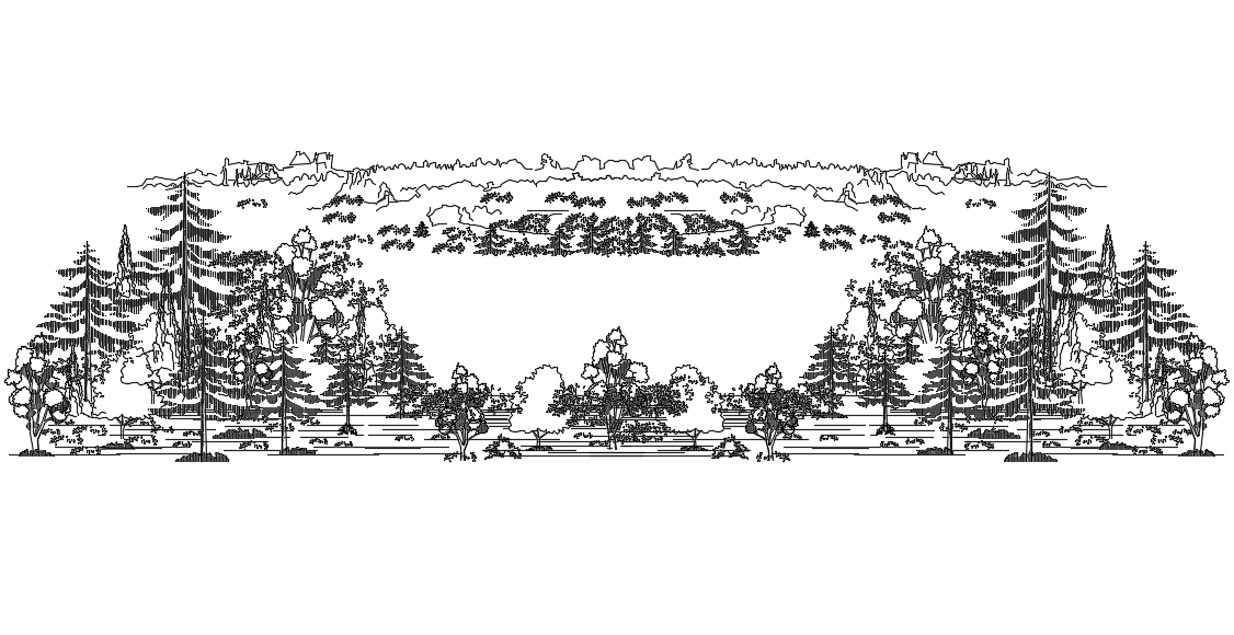 Trees for background 