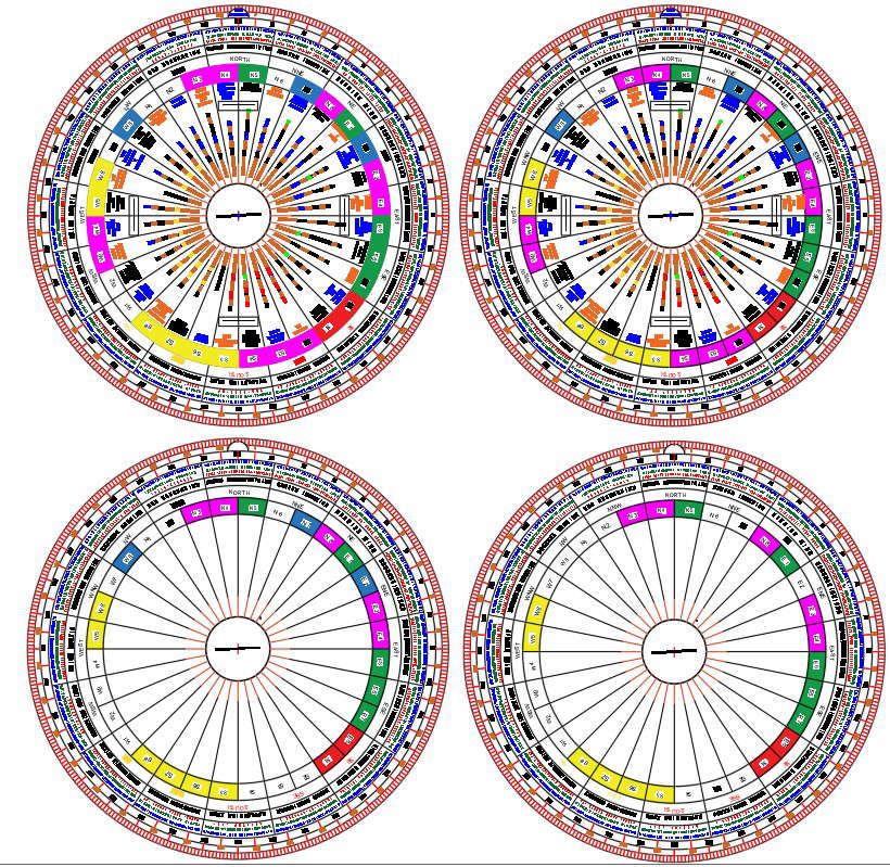 Vastu Chakra AutoCAD DWG Files for Directional Planning