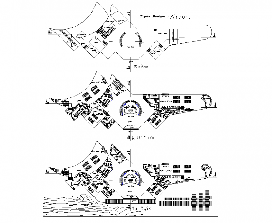 Airport plan with detail of dwg file.