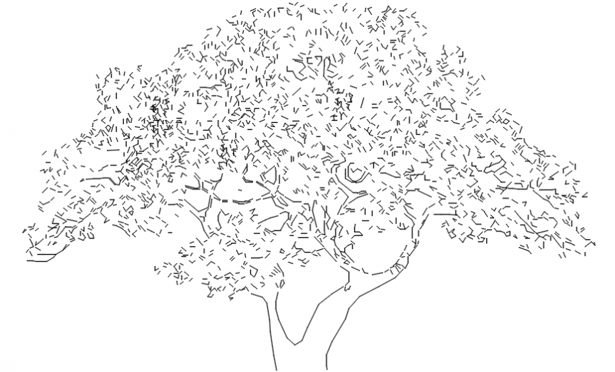 Big tree 2d concept file