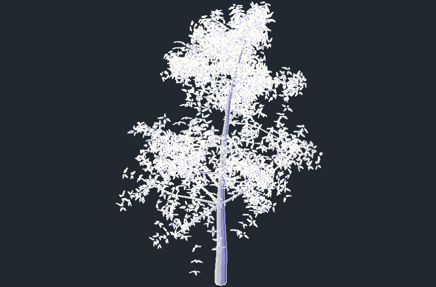 Big tree front sectional model elevation file