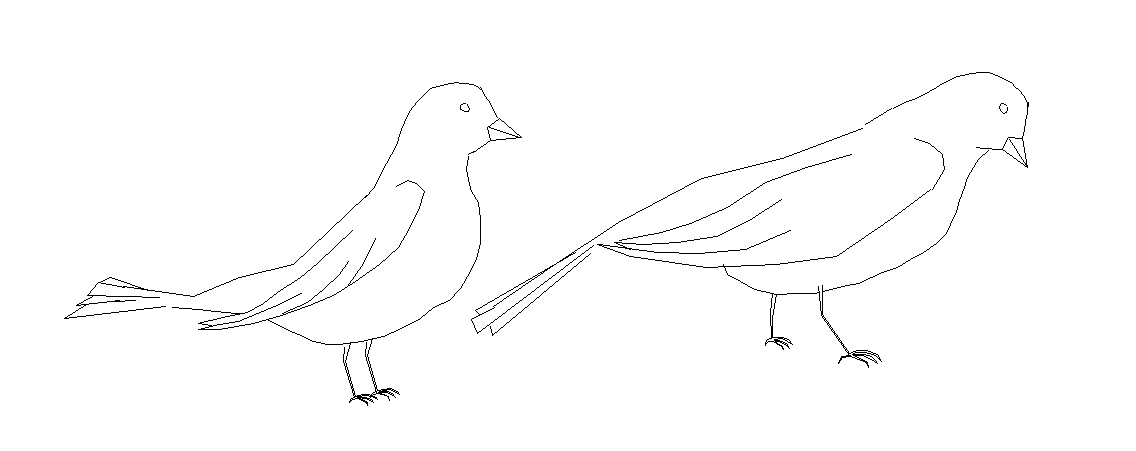 birds dwg file