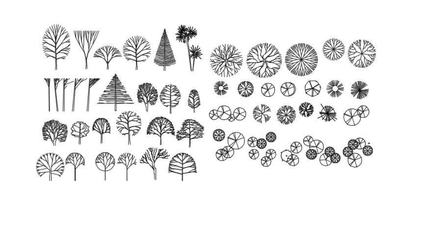 Bushes and plants 2d detail dwg file