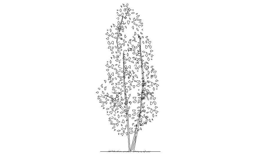 Cad block of landscaping trees and plants 2d view in autocad software
