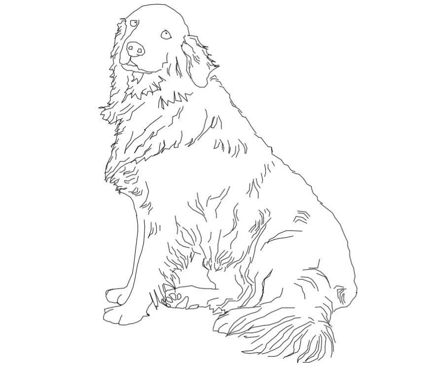 CAd drawings details of  dog