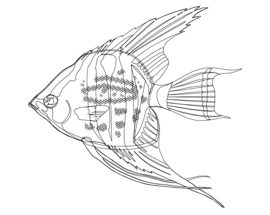 CAd drawings details of  small fis