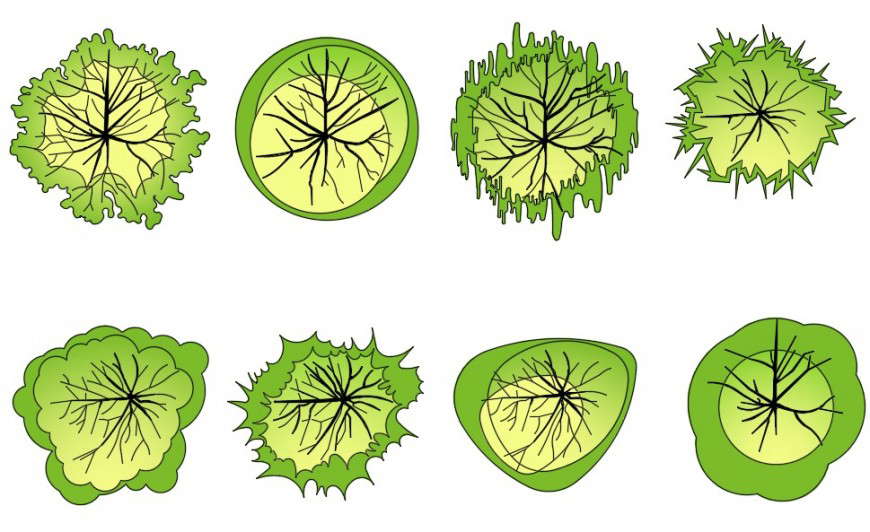CAd drawings details of  top elevation of colored trees