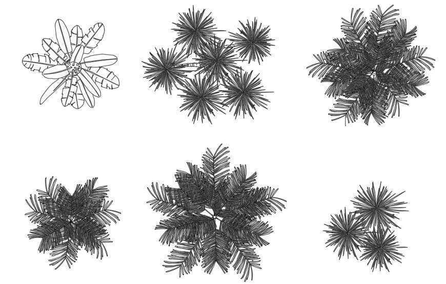 CAd drawings details of  top elevation of large  bushy leaves