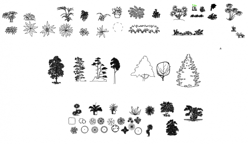 CAD drawings details of  trees