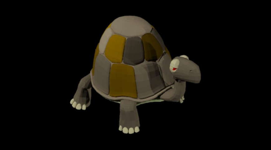 CAd drawings details of 3d turtle-tortise