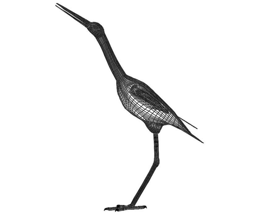 CAd drawings details of ciconia  