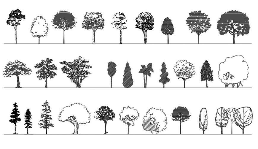 CAd drawings details of deciduous trees