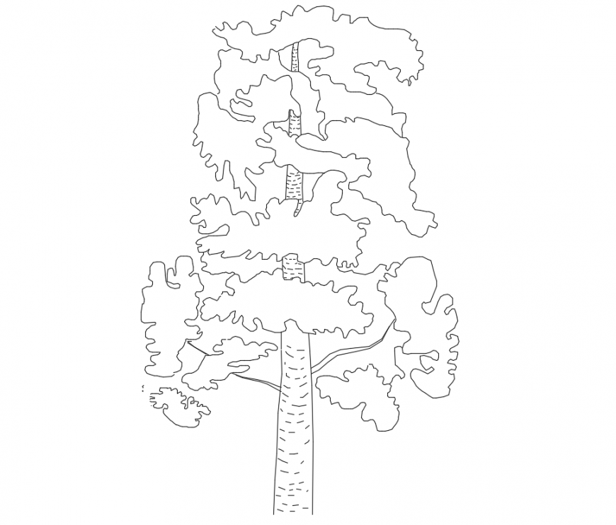 CAd drawings details of front elevation of group  rooted trees