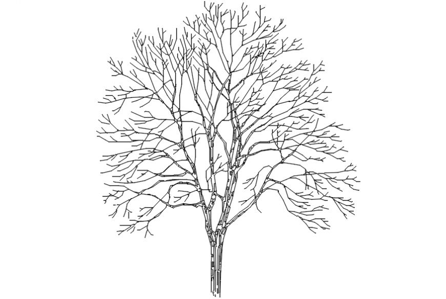 CAd drawings details of long-rooted curved  leaves