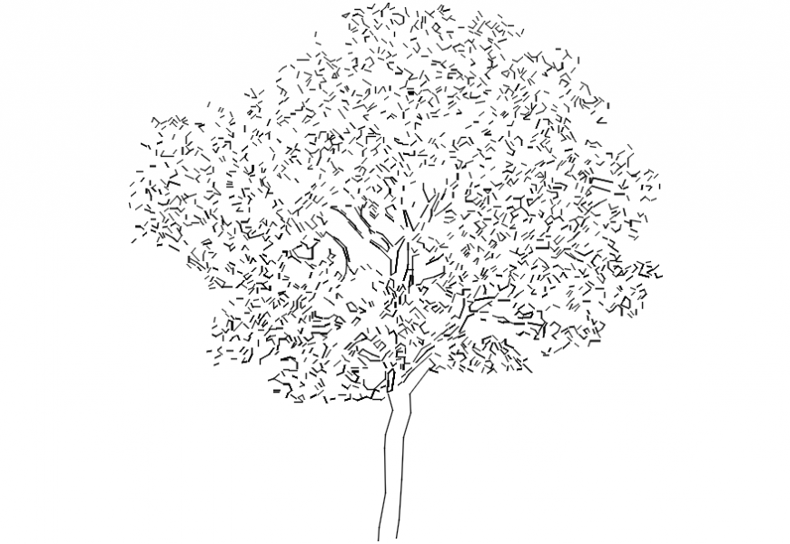 CAd drawings details of long shredded leaves