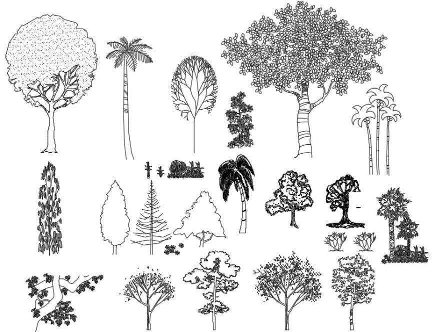 CAd drawings details of side  elevation of combined trees