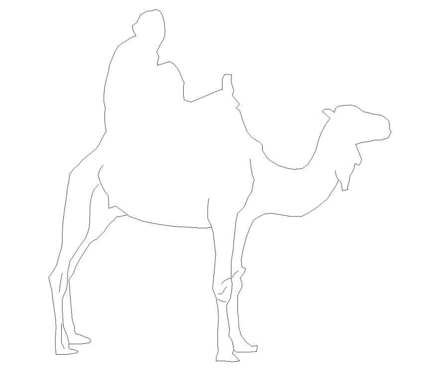 Camel elevation plan layout file