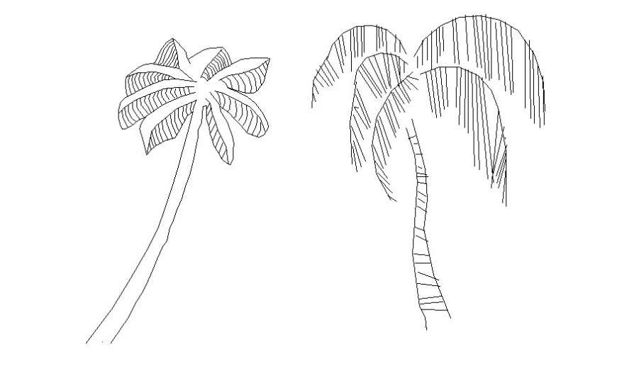 Coconut tree details 2d view drawing in autocad software