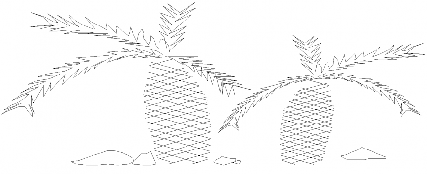 Coconut tree plan detail dwg file.