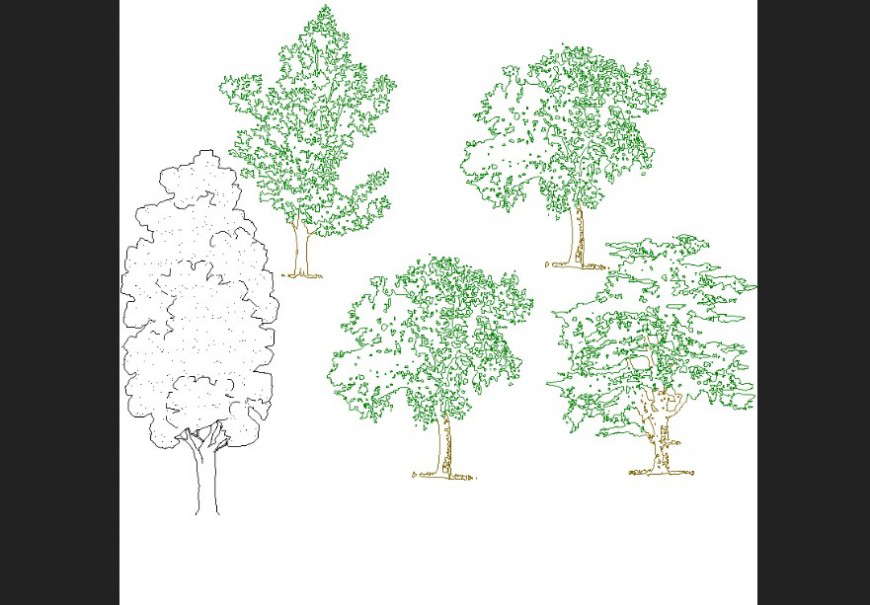 Deciduous trees plan detail dwg file.