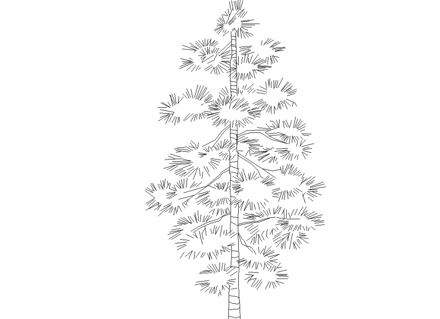 Deciduous trees plan with a detailing dwg file.