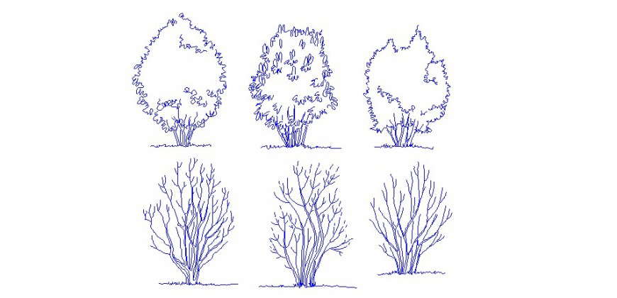 Decorative garden tree elevation blocks cad drawing details dwg file