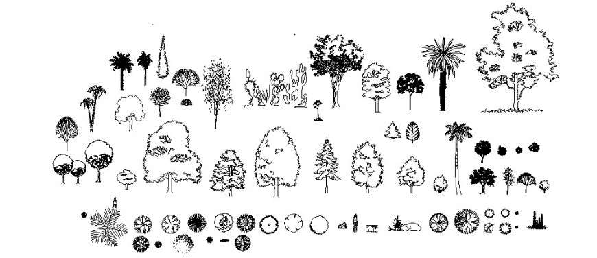 Different Plan and elevation of tree block in AutoCAD