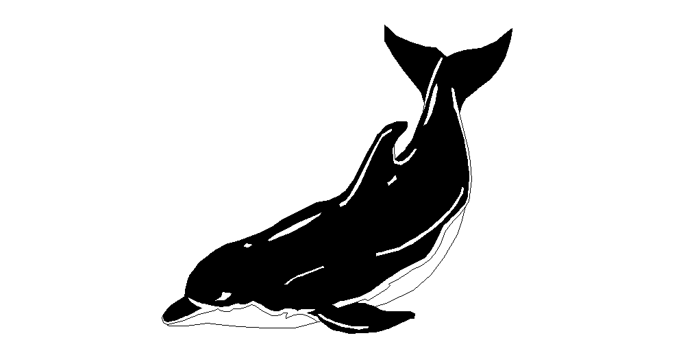 dolphin dwg file 