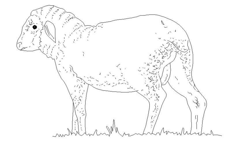 Drawings details of animal units block autocad softwrae file