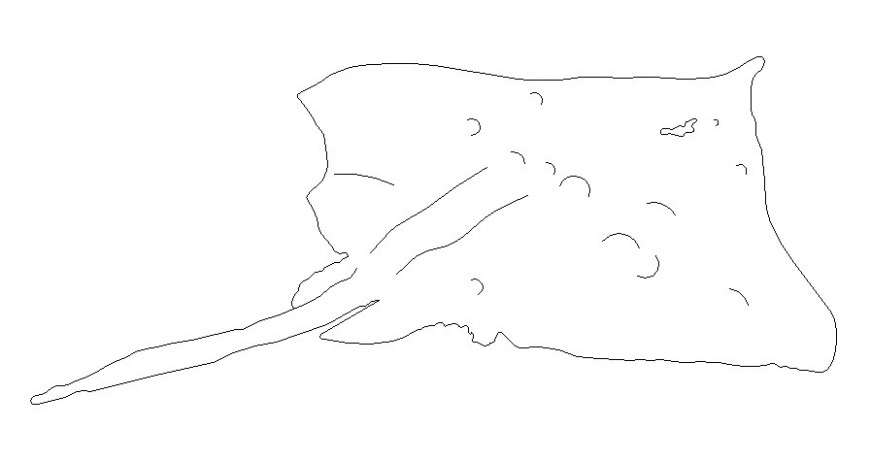 Drawings details of running horse 2d view autocad file