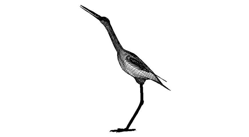 Drawings of birds block 2d view elevation autocad file