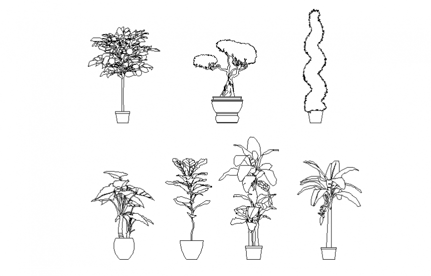 Dynamic tree plant pots elevation blocks cad drawing details dwg file