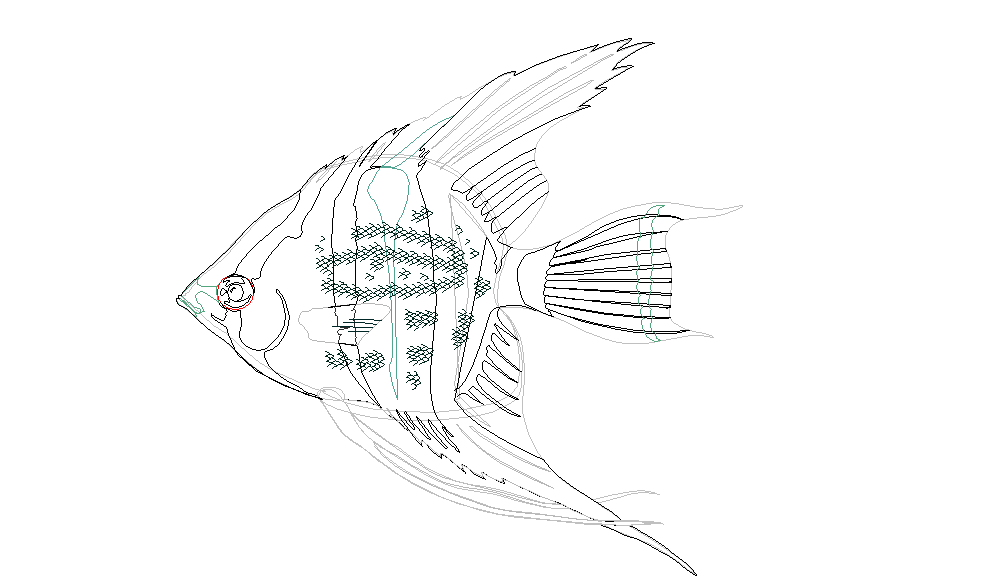 fish dwg file 