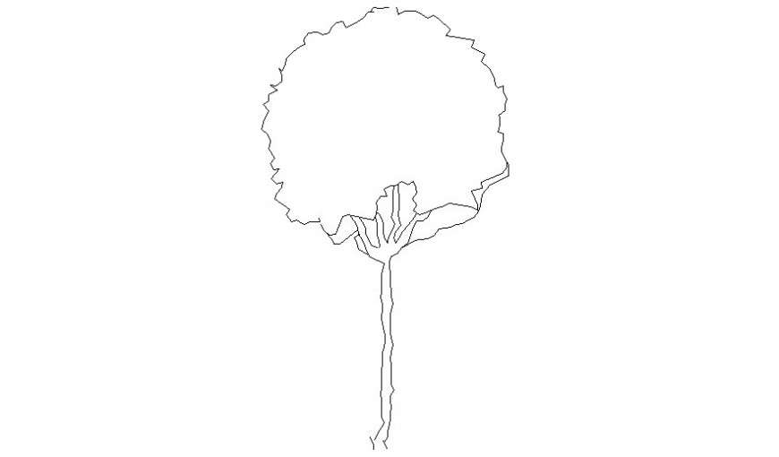 Front view of 2d tree design unit autocad file