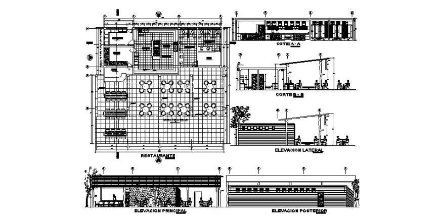 Furnished floor plan, elevation and sectional detail of restaurant building drawing in autocad