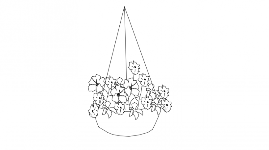 Hanging basket flowers