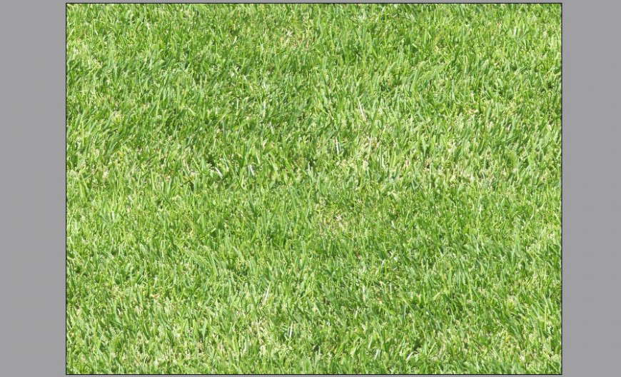 Landscaping grassing details texture file