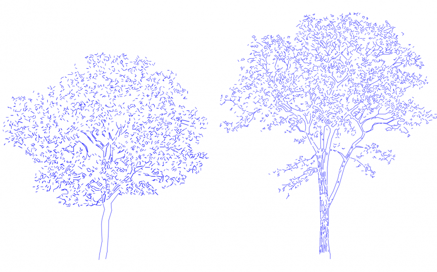 Landscaping tree elevation detail 2d view autocad file