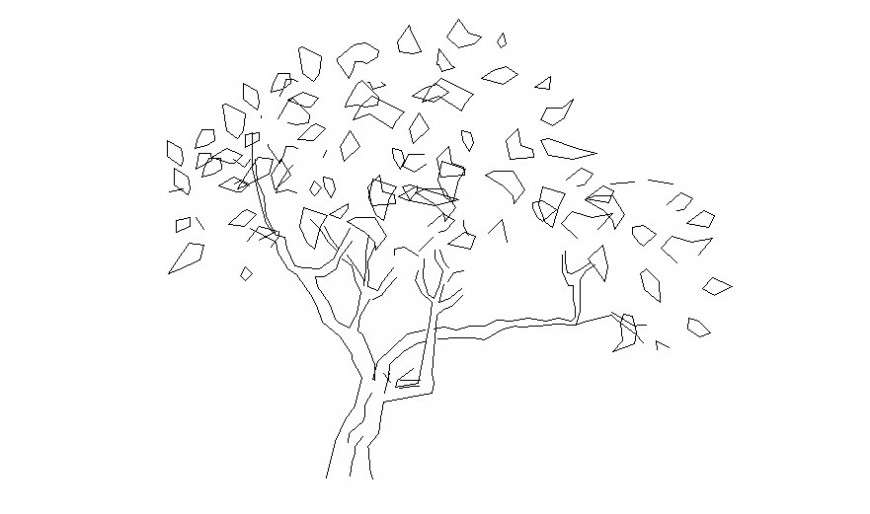Landscaping trees CAD drawing 2d view drawn in autocad software