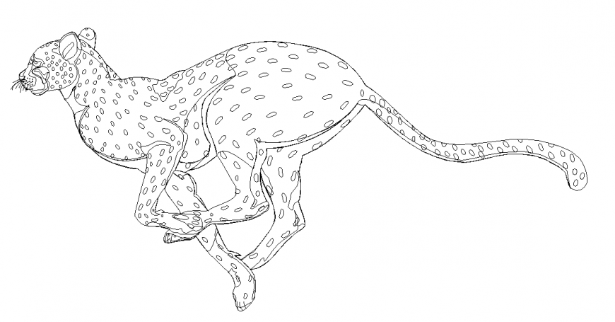 Leopard Block Detail