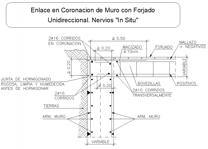 Nerves in situ section plan autocad file