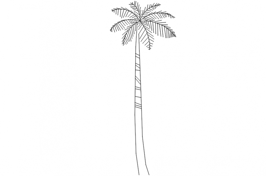 Palm trees 2d block