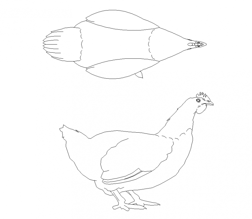 Plan and elevation of hen with animal block detail dwg file