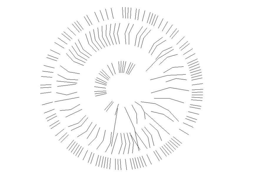 plan of the tree.