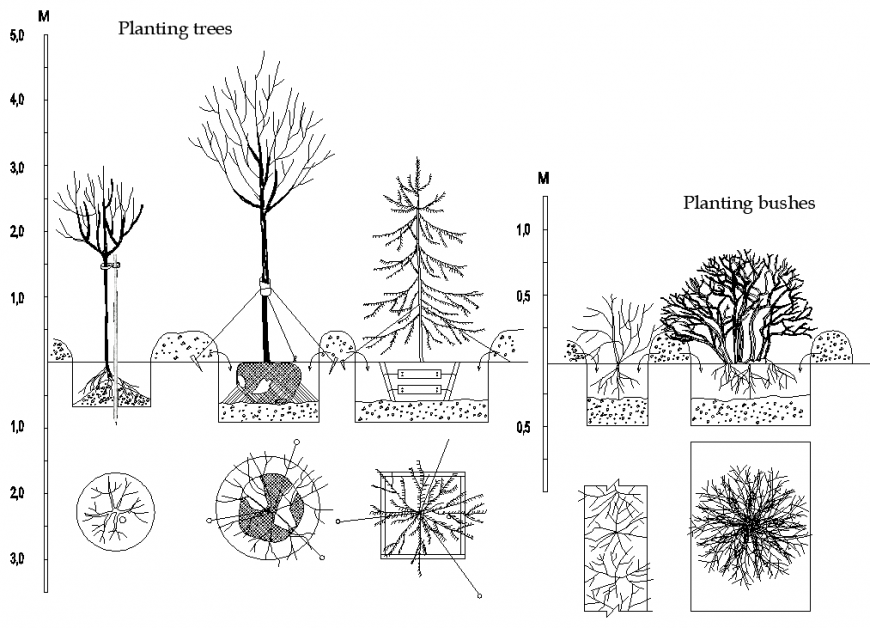 Planting bushes plan detail dwg file.