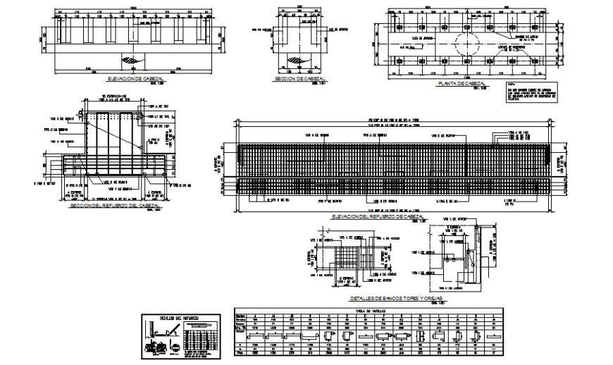 RCC structures detail drawing in autocad
