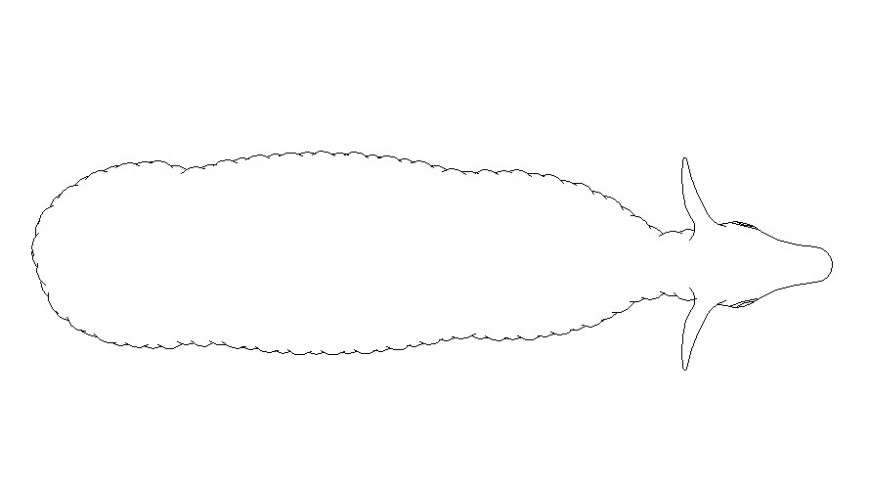sheep animal blocks dwg file