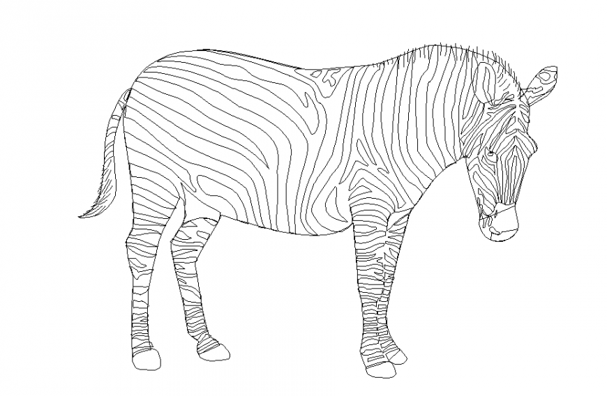 Simple Zebra Animal Block design