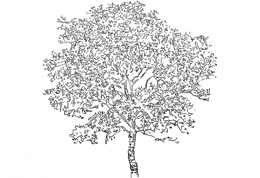 Single Neem tree elevation block details dwg file