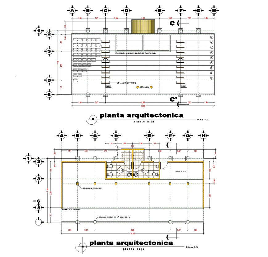 Stadium detail plan and elevation dwg file